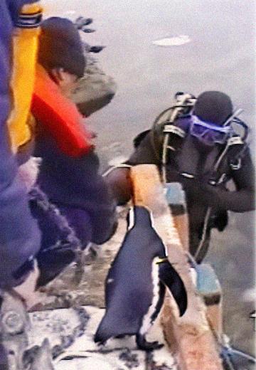 Work at the station "Akademik Vernadsky"