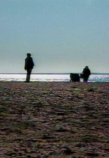 Острів Тузла, 2008 рік 