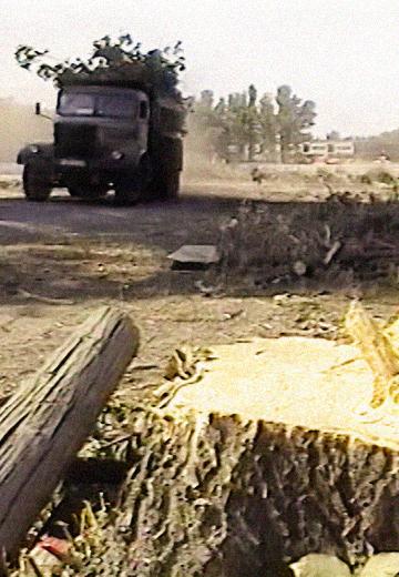 Забудова парку в Кременчуці, 2006 рік