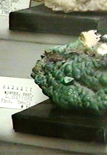 Geological Museum in Chernivtsi, 1998 