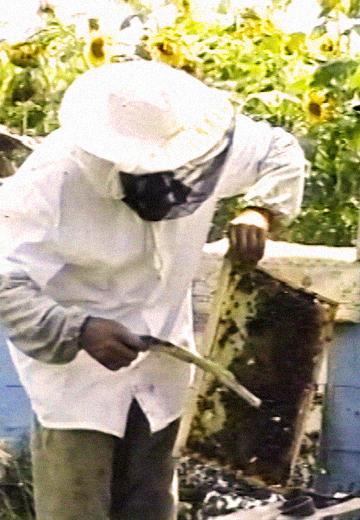 Запорізькі пасічники 