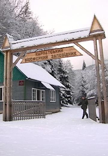 Карпатський біосферний заповідник