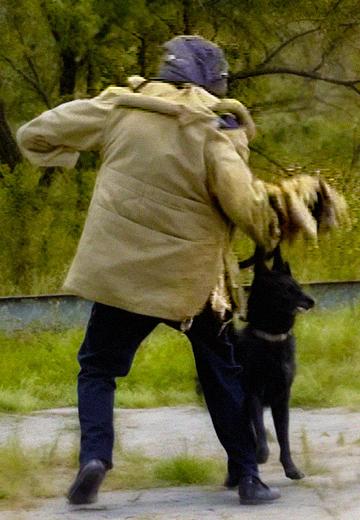 Dog Training Center "Dog Paradise" 