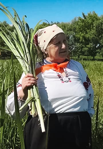 Traditions of the celebration of the Trinity in the village of Kudlayivka