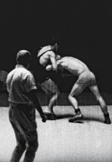 The XVII Summer Olympic Games and Other Chronicles: 1960