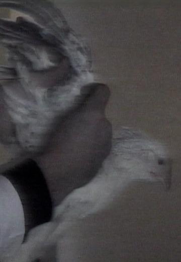 Consequences of bird flu in Crimea