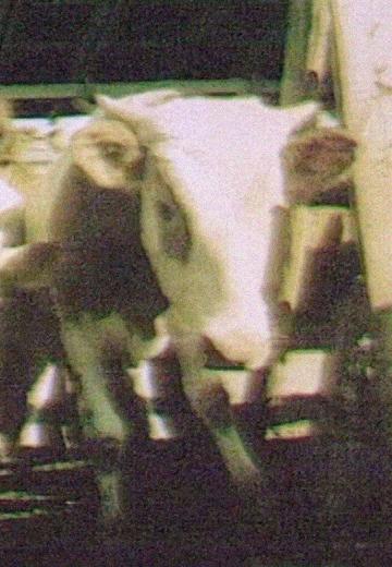 Агропром УРСР у добу "перебудови"