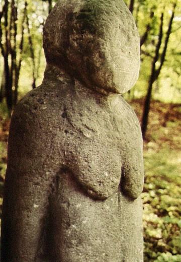 Dendrological Reserve "Trostianets"