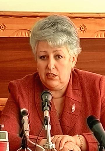 Press conference of Vira Sheludchenko