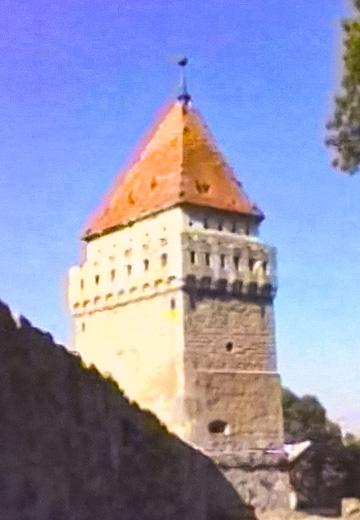 History of Skalat Castle