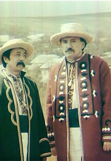 Троїсті музики села Новосілки