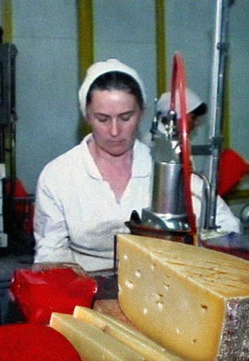 "Burluk Cheeses": Export of Ukrainian Cheeses