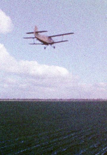 Fertilizing Winter Crops: 1977