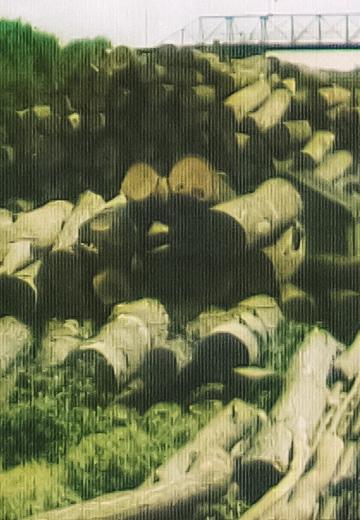 Волинський ліс, 1993 рік