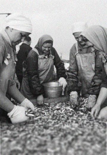 Fishing in Kerch: 1973