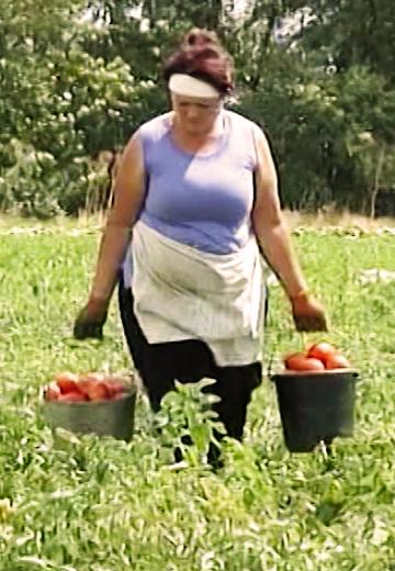 "A Day in the Village": Zaporizhzhia Floodplains