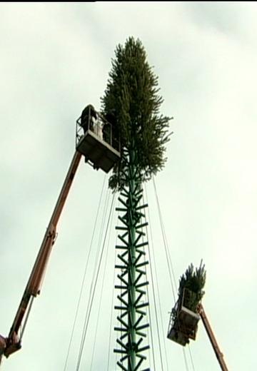 Installing a Christmas tree on Maidan, 2010