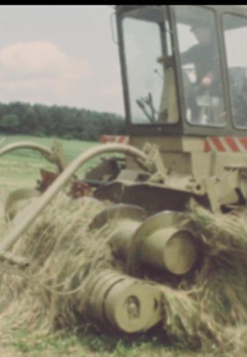 Сільські господарства Перемишлян