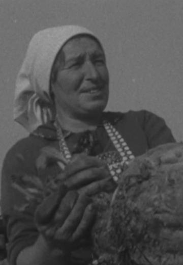 "Сільські обрії": збір врожаю