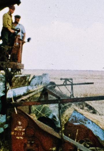 Жнива у Криму: 1978 рік