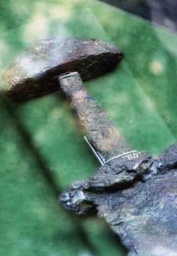 Середньовічне поселення вікінгів