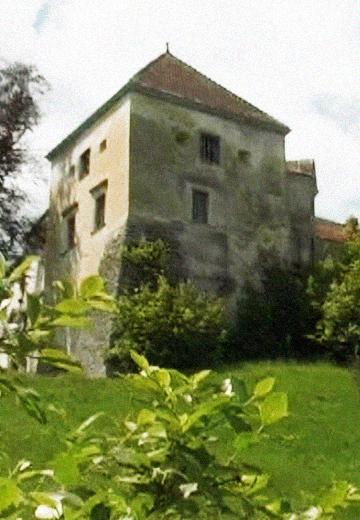 History of Svirzh Castle