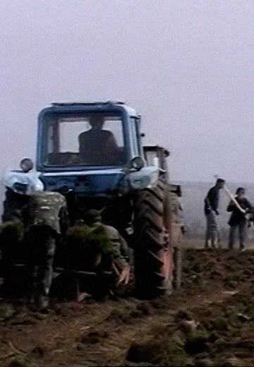 Озеленення Луганщини