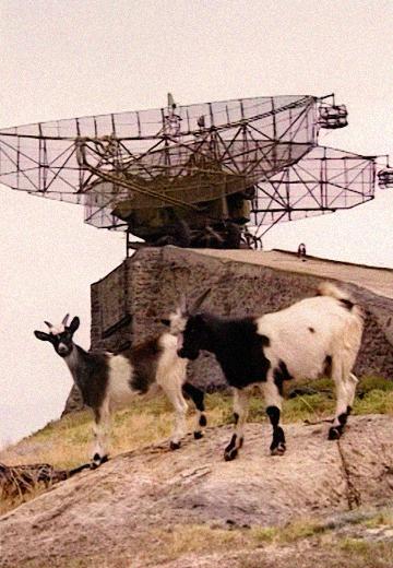 Острів Зміїний, 1998 рік 