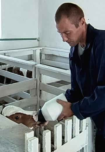 Collective farm activities in prison