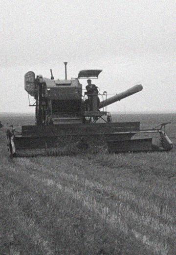 Підготовка до жнив: 1970 рік