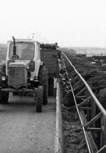 Construction on the Collective Farm: 1977