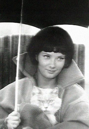 Фільм "Сліпий дощ..."