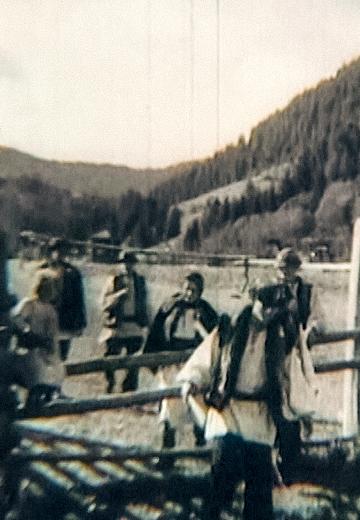 Chronicle of 1939. Landscapes of Transcarpathia.