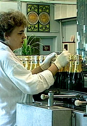 Артвайнері: виробництво шампанських вин