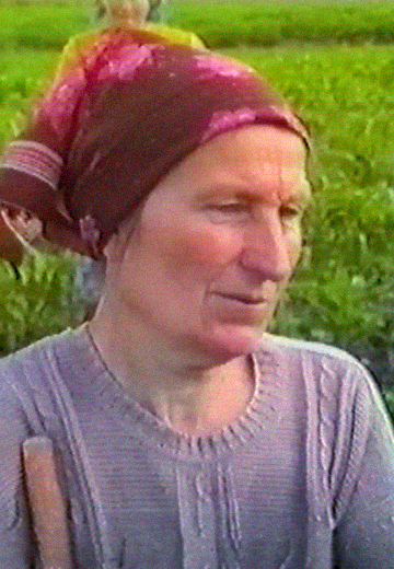 Колгосп "Україна": 1993 рік