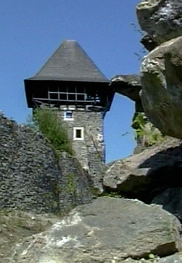 Невицький замок: 2013 рік