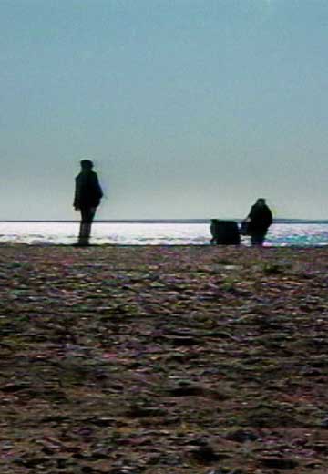 Tuzla Island, 2008
