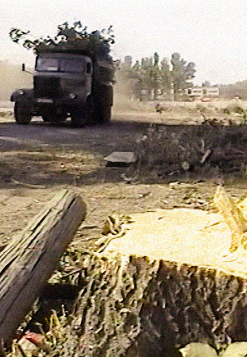 Забудова парку в Кременчуці, 2006 рік