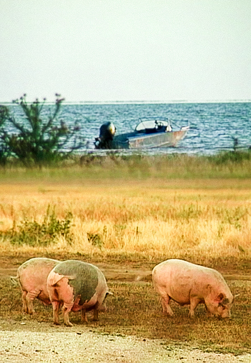 Чорноморський біосферний заповідник