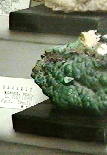 Geological Museum in Chernivtsi, 1998 