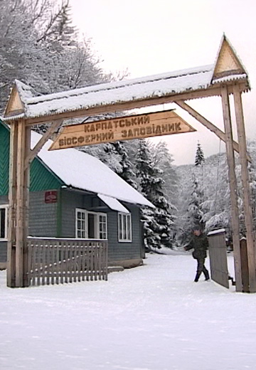 Карпатський біосферний заповідник
