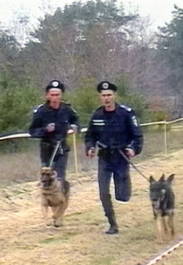 Dog handlers' competitions in the Kherson region 