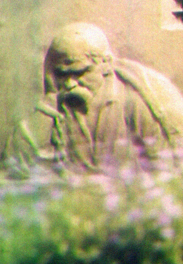 Українська пісня "Думи мої..." 