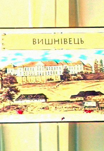 History of the Vyshnivets Palace