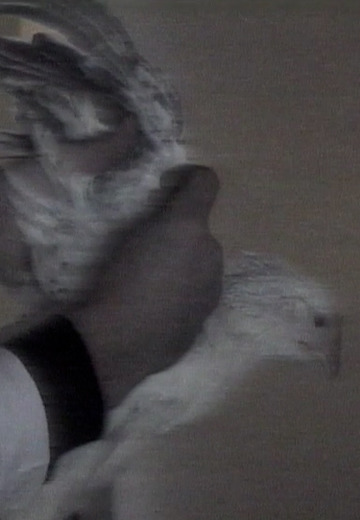 Consequences of bird flu in Crimea