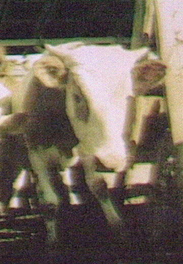 Агропром УРСР у добу "перебудови"