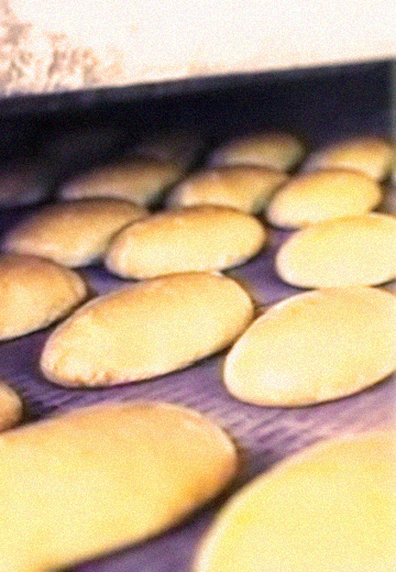 Хлібзавод №5 у Запоріжжі