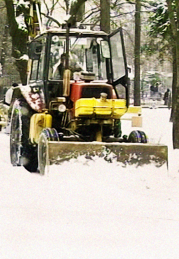 Україна в снігу, 2009 рік