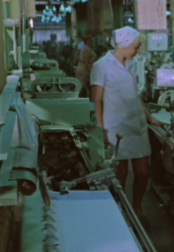 Рівненський льонокомбінат, 1977 рік