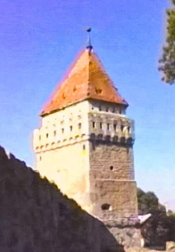 History of Skalat Castle